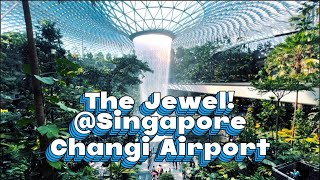 The Jewel Changi Aiport Singapore🇸🇬 fyp fypシ゚viral singapore travel youtubevideo ytviral [upl. by Friend764]