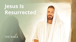 John 20  Jesus Is Resurrected  The Bible [upl. by Trix564]