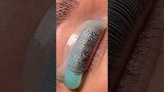 Make your lashes more neatly as you can for lash wrapping 🤗 lashlifttutorial lashtips lashlift [upl. by Johansen]