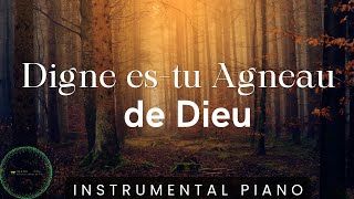 Digne es tu Agneau de Dieu Adoration Instrumentale [upl. by Euqinim]