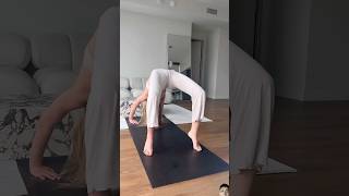 Flipping my dog🤸🏼‍♀️ yoga downwarddog threeleggeddog balance bridge [upl. by Tudor450]