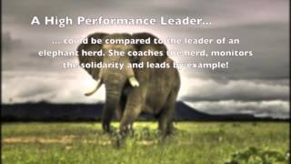 Learn excellent leadership from the amazing Elephant [upl. by Nyloj]