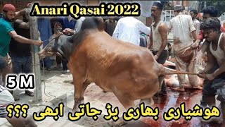 Anari Qasai 2022  Eid UL Azha [upl. by Hanikas]