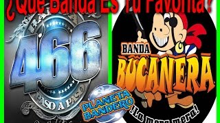 Mano A Mano Banda 466 vs Banda Bucanera En Vivo [upl. by Eelame]