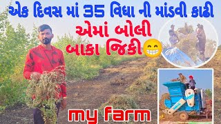 🚜😃એક દિવસ માં 35 વીઘા ની માંડવી કાઢીek divas ma 35 vidha ni mandvi kadhi🚜😄 [upl. by Maurey]