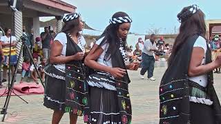 Best Xitsonga Lobola Entrance at Giyani Limpopo XitsongaTradition XitsongaDance Xigazadance [upl. by Enalahs]