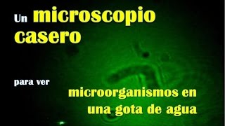 Microscopio laser casero  Laser Projection Microscope [upl. by Cavallaro]