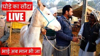 तीस हजार का घोडा बिका पंद्रह हजार में  Jagraon Horse Mela Part 6 [upl. by Nnauol628]