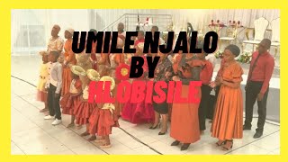 Umile Njalo  Bride amp Groom Choir  Mr and Mrs Ntuli Wedding Celebration [upl. by Nasya]