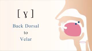 ɣ  voiced dorsal velar non sibilant fricative [upl. by Nitsreik1]