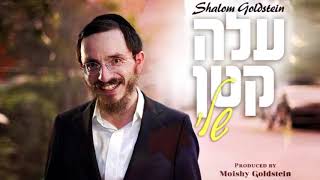 Shalom Goldstein  Aleh Katan Sheli  שלום גאלדשטיין  עלה קטן שלי [upl. by Eenimod]