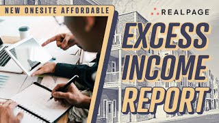 Excess Income Report [upl. by Tammy]