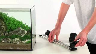 Setting up the aquarium with Led intenso lamp [upl. by Dannel111]