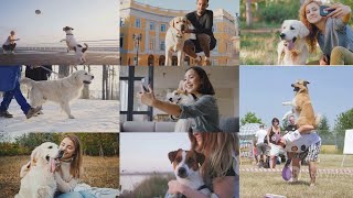 Best Dog Videos of the Decade 🐶 [upl. by Allmon]