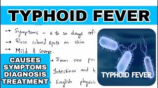 Typhoid fever  Salmonella typhi  Causes symptoms diagnosis treatment  Bio science [upl. by Aihtnyc]