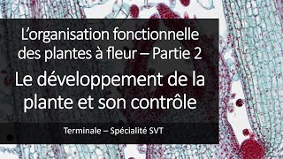 Cours Spé SVT Terminale  Organisation des plantes 2  Le développement des plantes [upl. by Charlotte508]