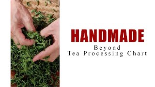 How Green Tea is Made Handmade Chinese Green Tea Processing [upl. by Hedve]