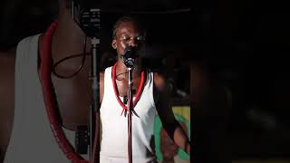 Wildman on Yardie Sessions dancehall reggae afrodancehall [upl. by Nwahsd505]