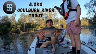 Goulburn River Rainbow Trout 4KG [upl. by Guyer]