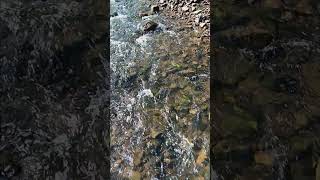 In God fishing caught a Smallmouth Bass at Wilson Creek by Rumley Arkansas [upl. by Lavro52]