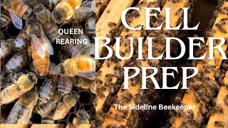 Beekeeping Prepping Cell Builders  Queen Rearing [upl. by Edras]