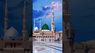 New islamic videos shorts muslimah naat beautiful [upl. by Atilam883]