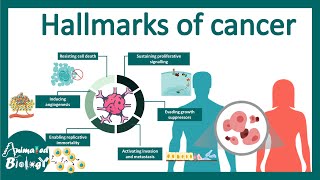 Hallmarks of cancer  What are the defining features of Cancer cells [upl. by Atoiyanap552]