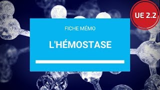 UE 22  lHémostase [upl. by Keslie637]