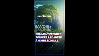 Journée mondiale de lenvironnement  voici 3 règles à faire pour maintenir son cadre propre short [upl. by Nasya]