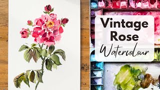 How to Paint A Vintage Rose In Loose Watercolour Style [upl. by Krissie227]