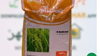 Bakhtawar Hybrid Rice Seed  Fine Supri with fragrance hybrid rice seed  Kissan Ghar  Greenlet [upl. by Carolus]