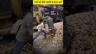 पत्तों को कैसे जल्दी से साफ करें  How to Clean Leaves Quickly ✨ [upl. by Nerrat706]