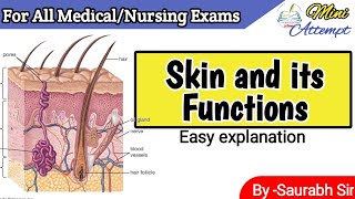 Skin in Hindi Function of skin  Sensory organs  For BAMS GNM BSc Nursing students [upl. by Afesoj]