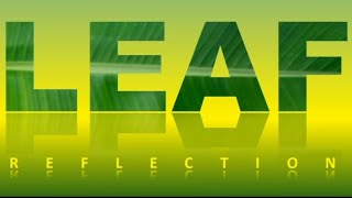 Creating Stunning Reflection Text Effects in PowerPoint [upl. by Egiaf151]