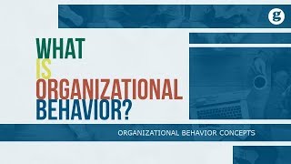 What is Organizational Behavior [upl. by Tony]