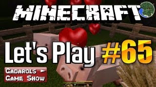 Lets Play Minecraft 65 deutsch HD Ein Farmhaus für die Farm [upl. by Deys158]