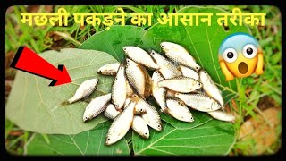 How to catch fish🐟🐟 बोतल से मछली पकड़ने का आसान तरीका MR FAIZ K EXPERIMENT [upl. by Nnylakcaj]