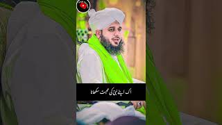 apne Nabi ki muhabbat sekhanaAjmal raza Qadri Best linesajmalrazaqadri viralislamic [upl. by Oletta729]