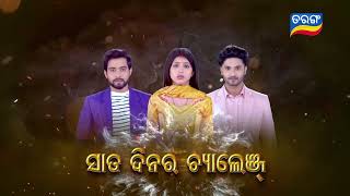 Tu Raja Mu Rani  Generic Promo  19th Nov 2024 MonSat 7 PM  Tarang TV  Tarang Plus [upl. by Ellasal]