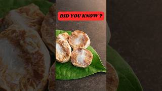 6 Shocking Benefits of Betel Nut you didnt know foodfacts healthbenefits wellnesstips betelnut [upl. by Varrian]