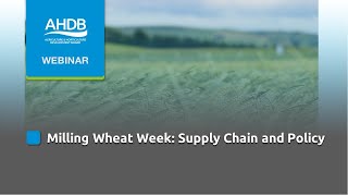 Milling Wheat Week Supply Chain and Policy [upl. by Ferreby]