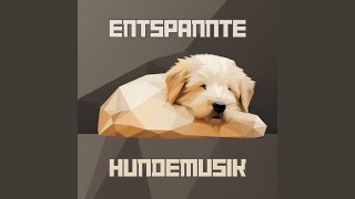 Entspannte Hundemusik Pt 34 [upl. by Nosae568]