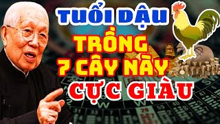 Người Tuổi Dậu Trồng Một Trong 7 Cây Phong Thủy Này Trong Nhà Tài Lộc Ùn Ùn Kéo Về Tiêu Sài 3 Đời [upl. by Josefina678]