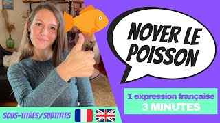 LEARN FRENCH IN 2 MINUTES – French idiom  Noyer le poisson [upl. by Corneille909]