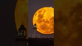 Stunning Timelapse of Full Flower Moon Captured in Australia 🌕 [upl. by Normi]