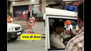 Video of policeman buying liquor bottles from liquor contracts in Ambala lockdown [upl. by Norehc]