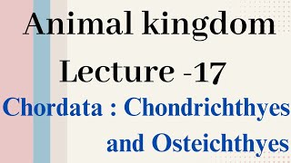 Chondrichthyes and Osteichthyes Animal kingdom Lecture  17 [upl. by Anirbaz]