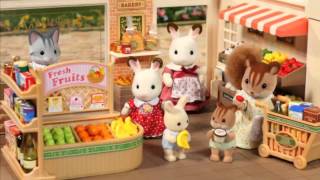 Sylvanian Families Supermarket [upl. by Richie767]