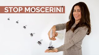 ADDIO MOSCERINI  Come eliminarli definitivamente [upl. by Cochrane636]