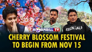 CHERRY BLOSSOM FESTIVAL TO BEGIN FROM NOV 15 [upl. by Lytsirhc]